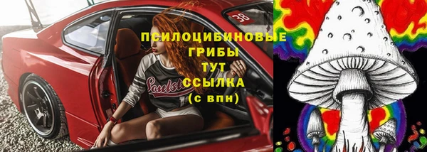 наркотики Новозыбков