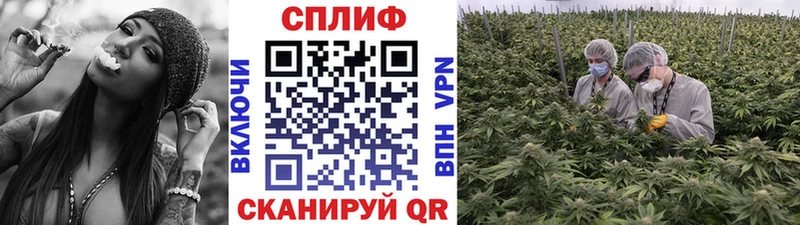 Шишки марихуана VHQ Константиновск